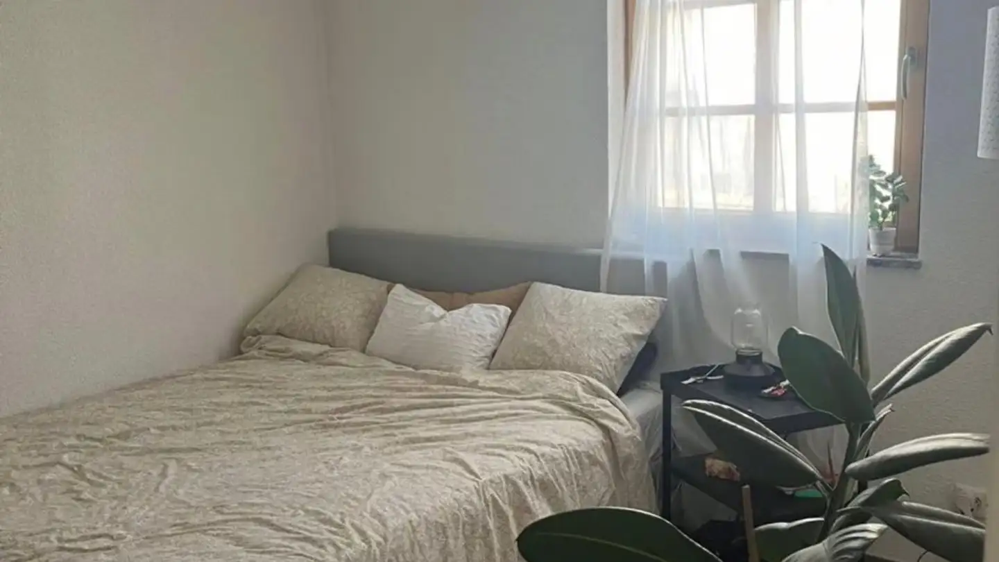 Wohnung mieten - Hauptstrasse 44, 5330 Bad Zurzach - Foto 3