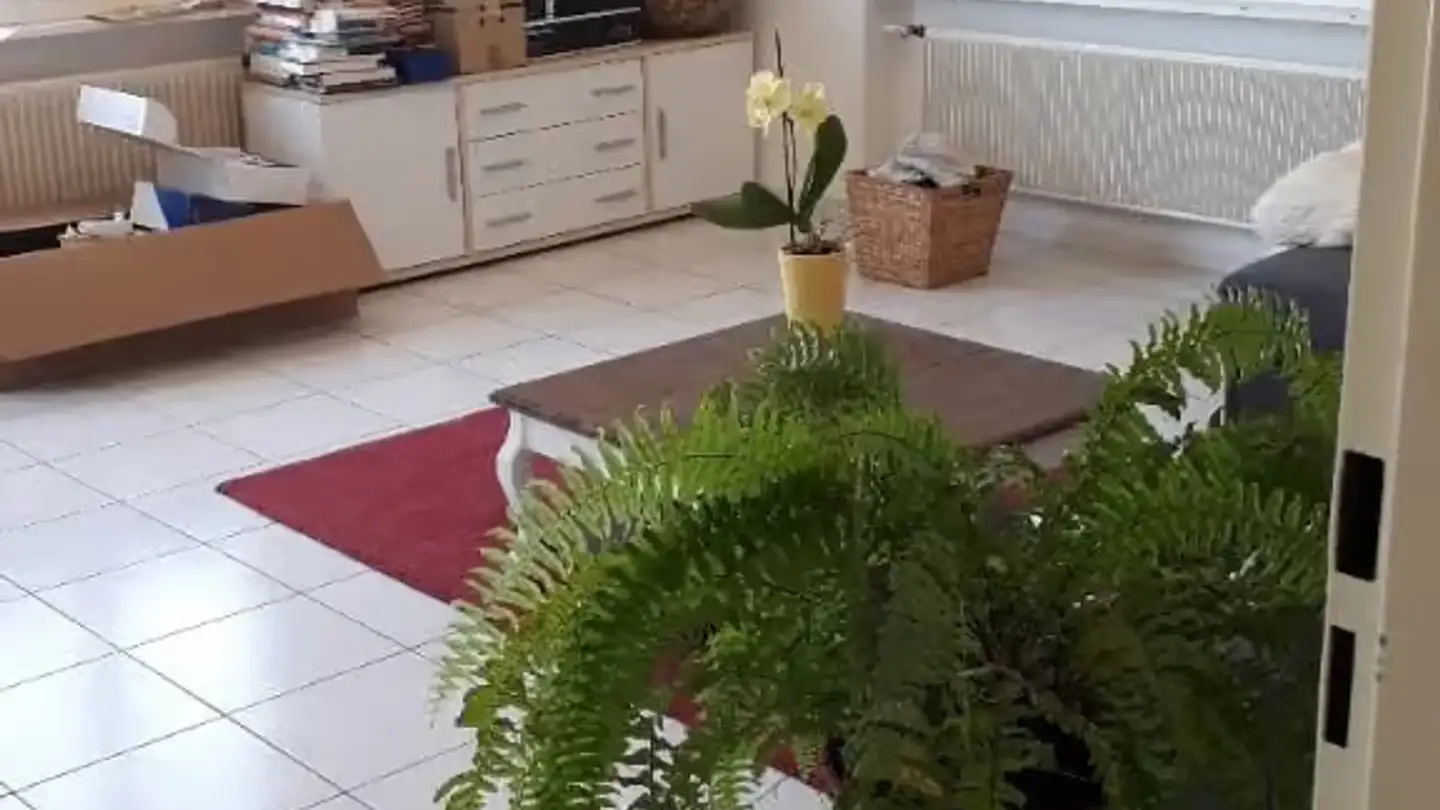 Wohnung mieten - Hauptstrasse 44, 4542 Luterbach