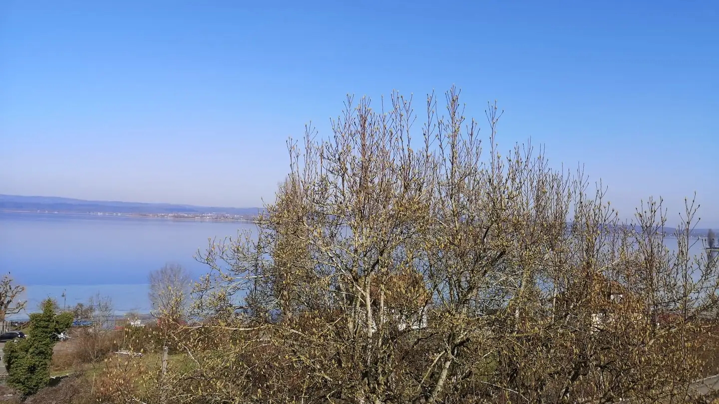 Wohnung mieten - 8267 Berlingen - Foto 4