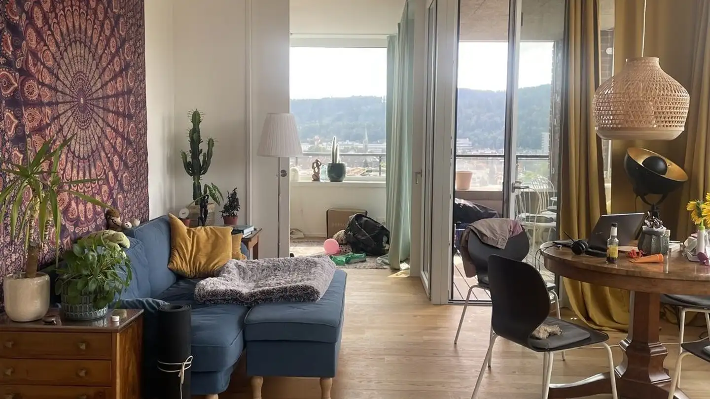 Appartamento in affitto - Ernst-Jung-Gasse 18, 8400 Winterthur - Foto 2