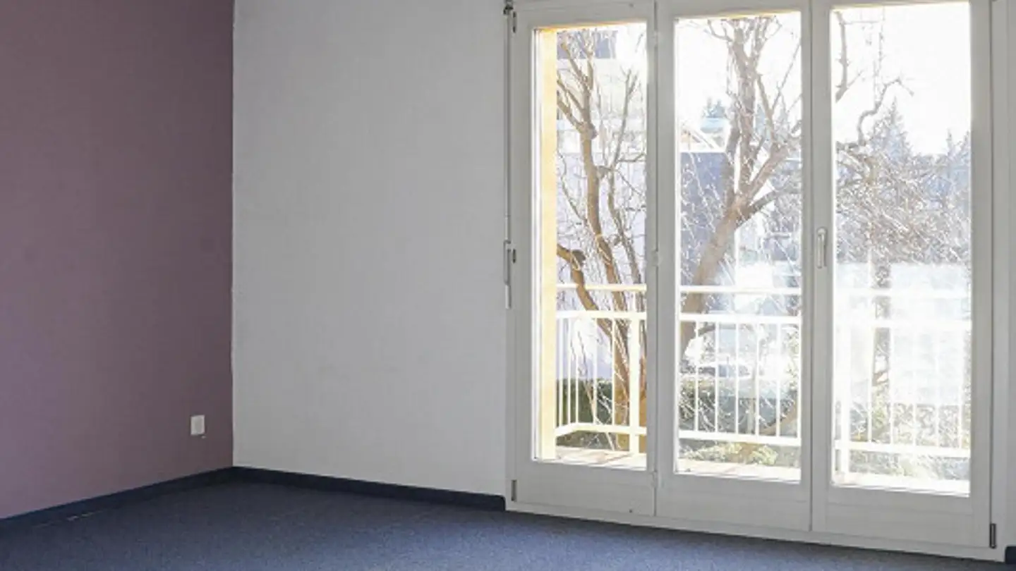 Maison en terrasse à vendre - Wuhrstrasse 3b, 9247 Henau - Photo 3