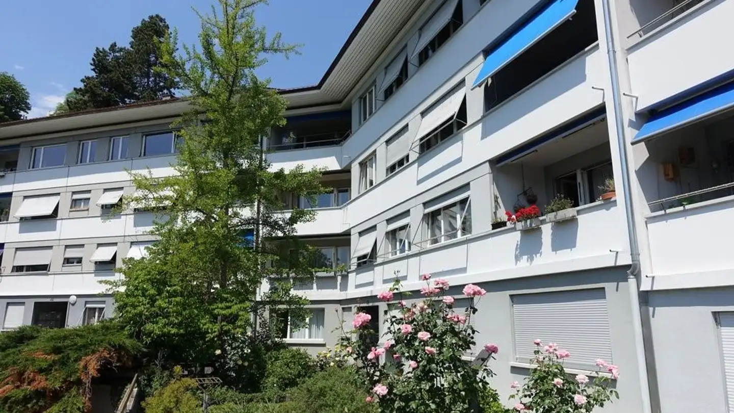Appartement à louer - Altenbergstrasse 20, 3013 Bern