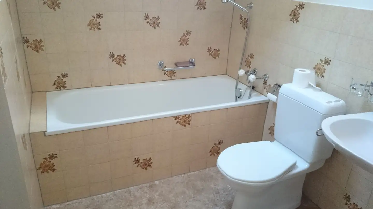 Appartamento in affitto - Bruggerstrasse, 5103 Wildegg - Photo 3