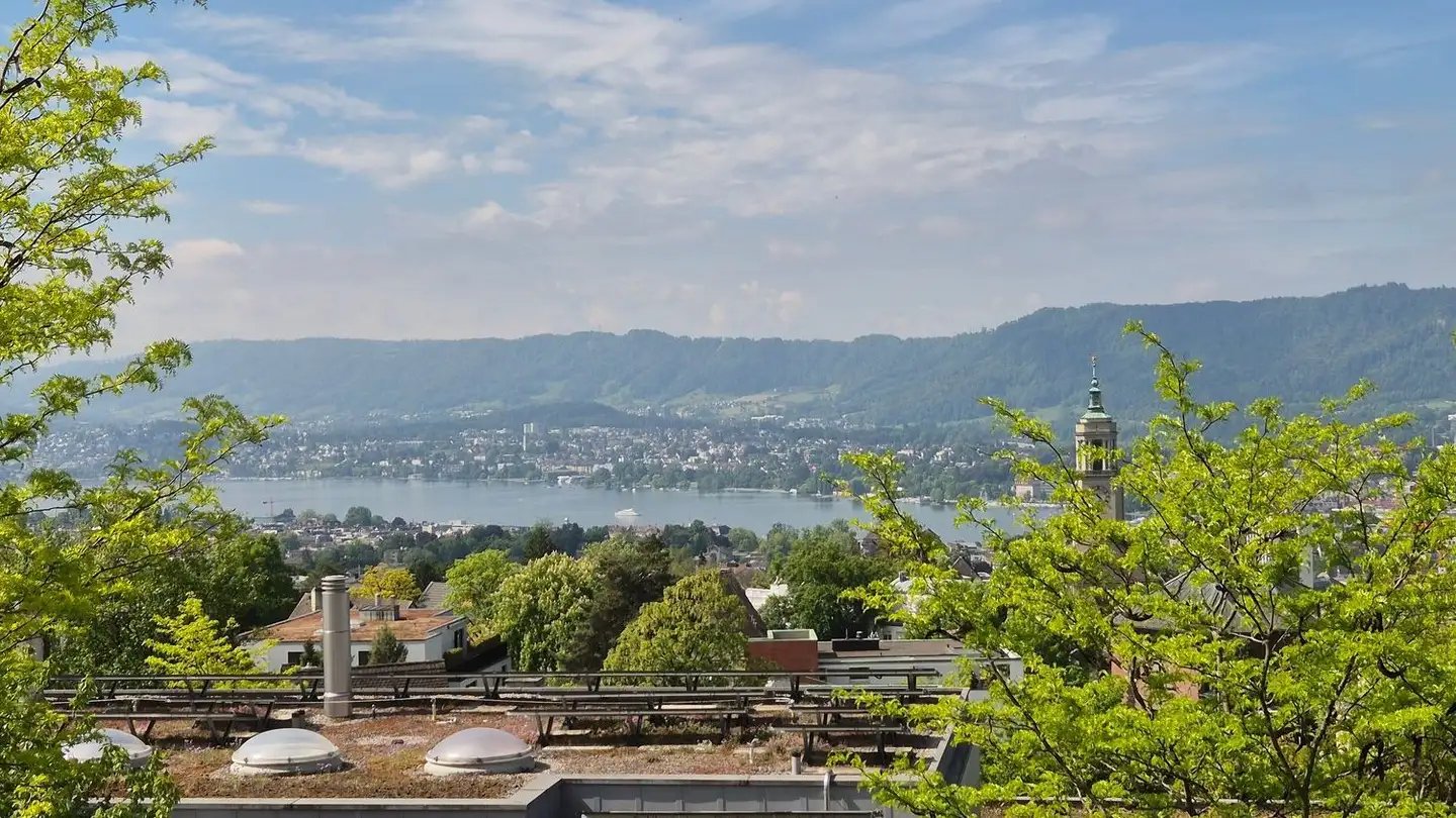 Duplex in affitto - Mittelbergsteig, 8044 Zürich