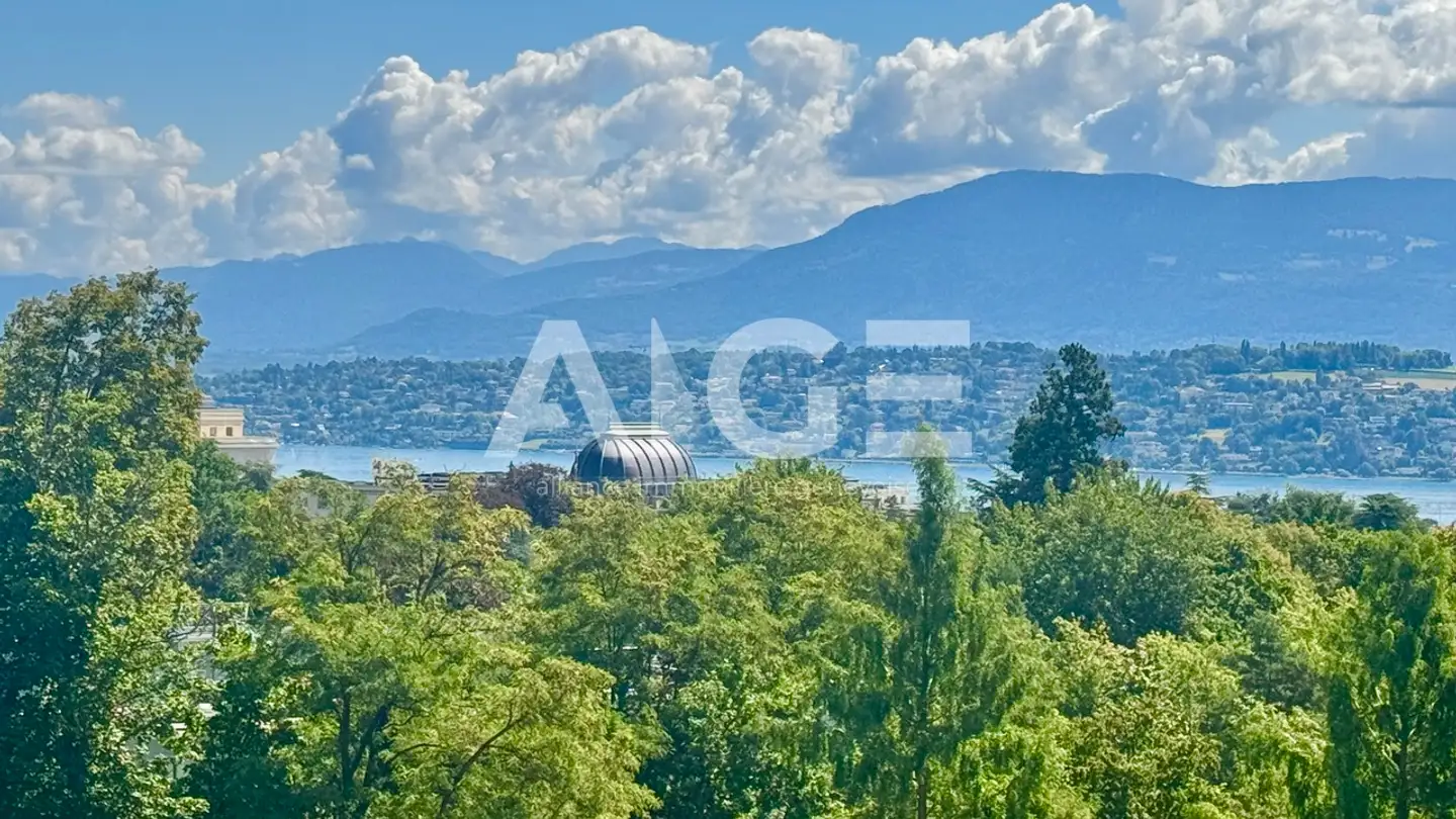 Appartamento in affitto - Avenue De-Budé 13, 1202 Genève - Photo 4