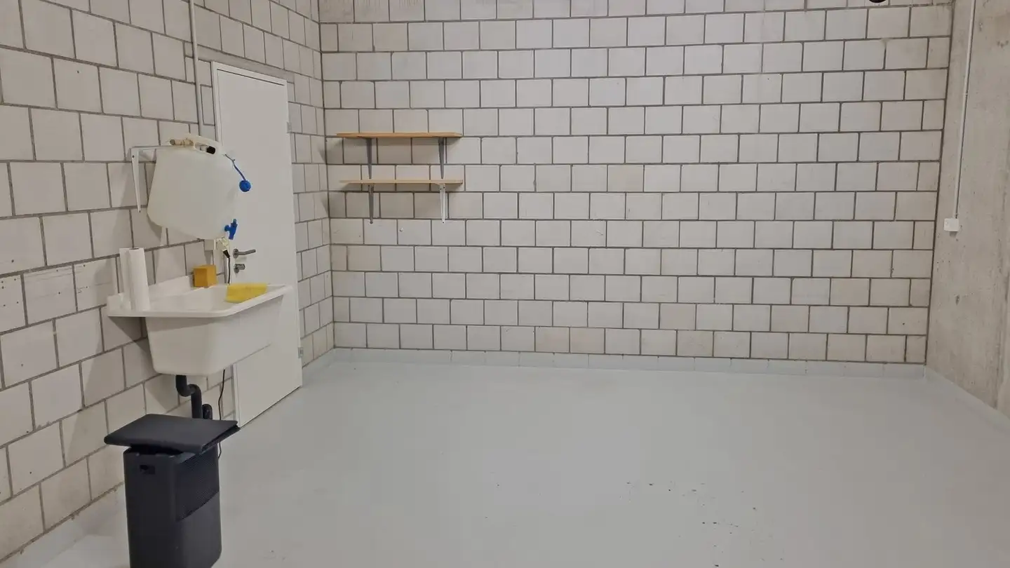 Sala hobby in vendita - Alte Bernstrasse 31, 5603 Staufen - Foto 3