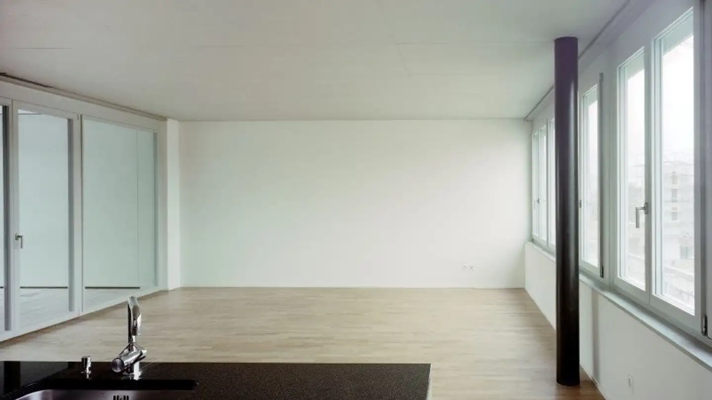 Appartamento in affitto - Else-Züblin-Strasse 100, 8404 Winterthur - Foto 4