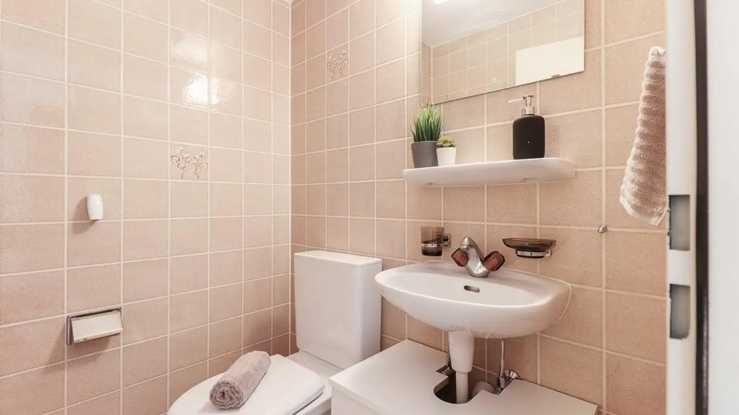 Appartamento in affitto - Gerbegässlein 2, 4450 Sissach - Foto 3