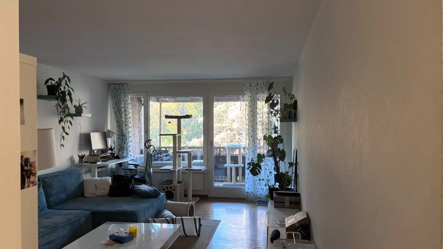 Wohnung mieten - Wannerstrasse 45, 8045 Zürich