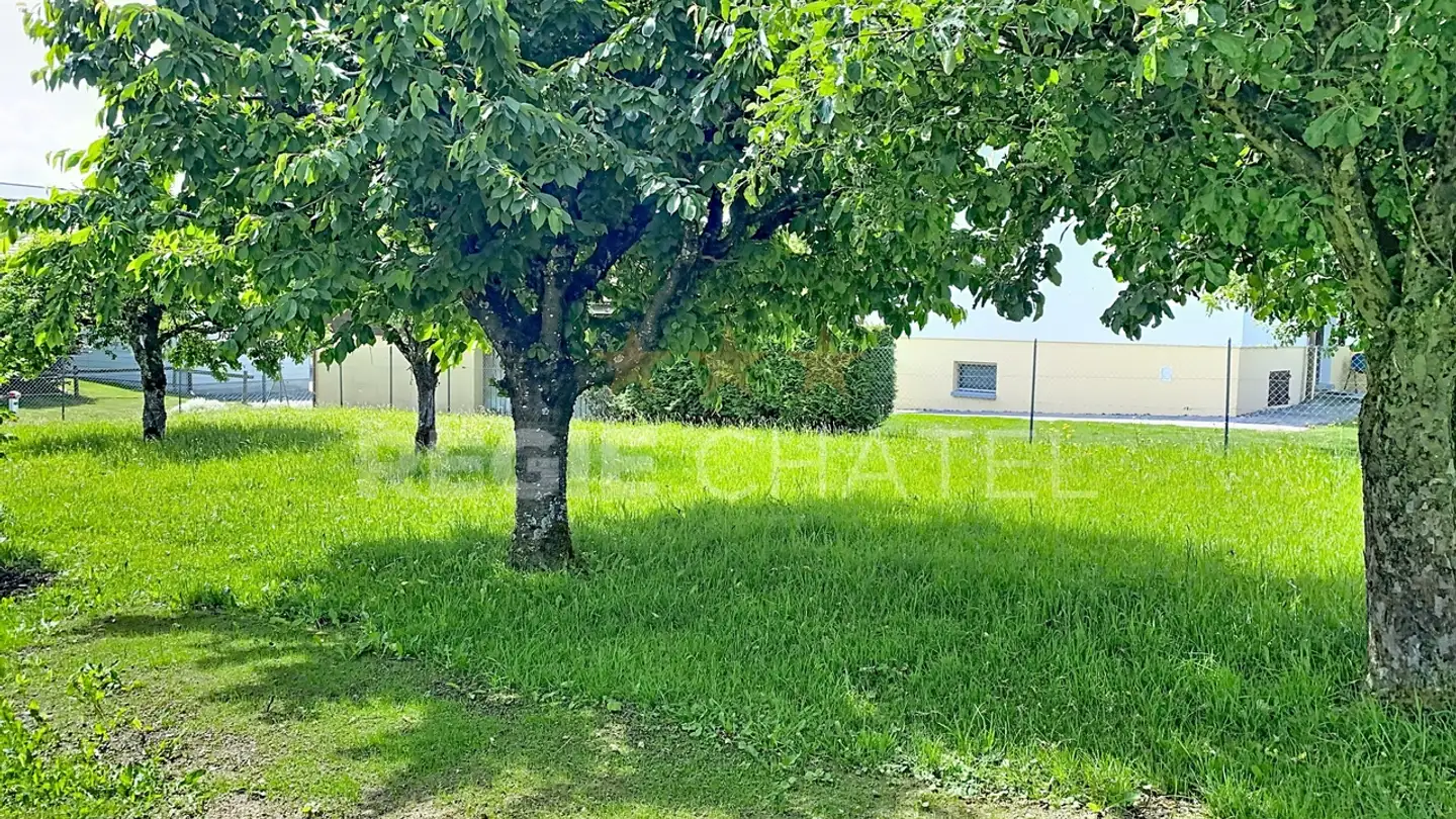 Single house for rent - Chemin De Bellevue, 1608 Chesalles-sur-Oron - Photo 2