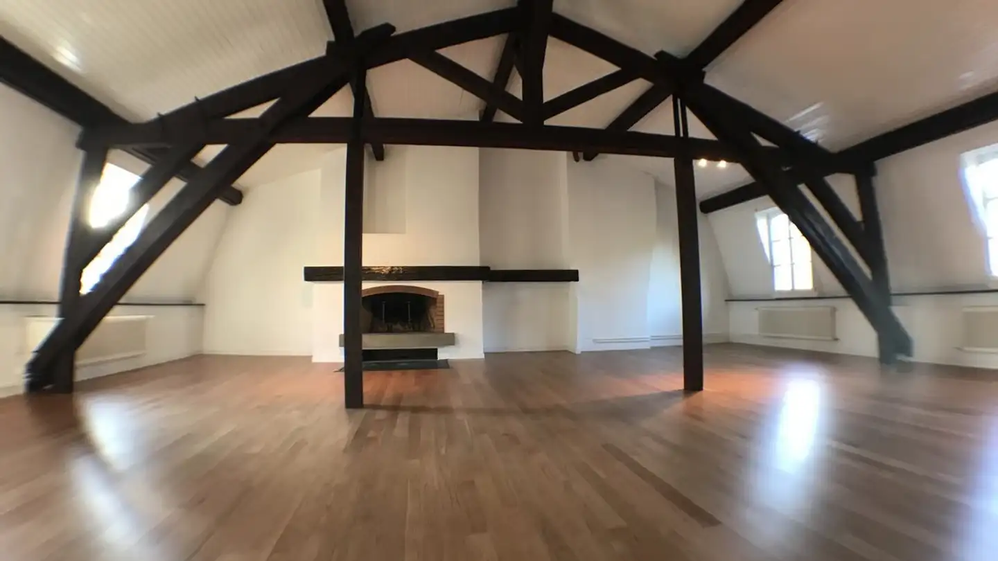 Penthouse mieten - Rue Jacques- Dalphin, 1227 Carouge GE