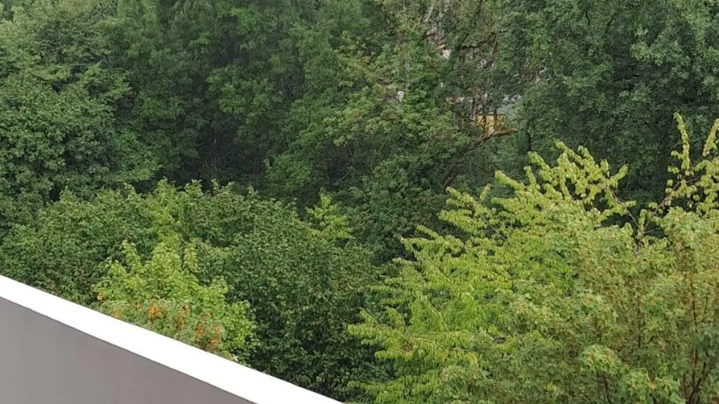 Wohnung mieten - Chemin du Petit-Flon 52, 1018 Lausanne - Foto 4