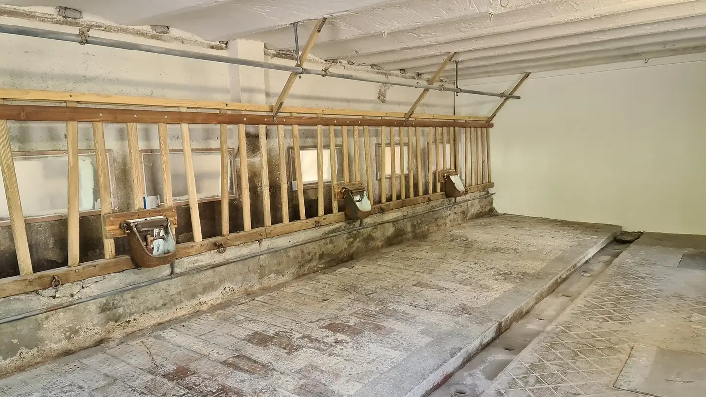 Commerciale in affitto - 8617 Mönchaltorf - Photo 2