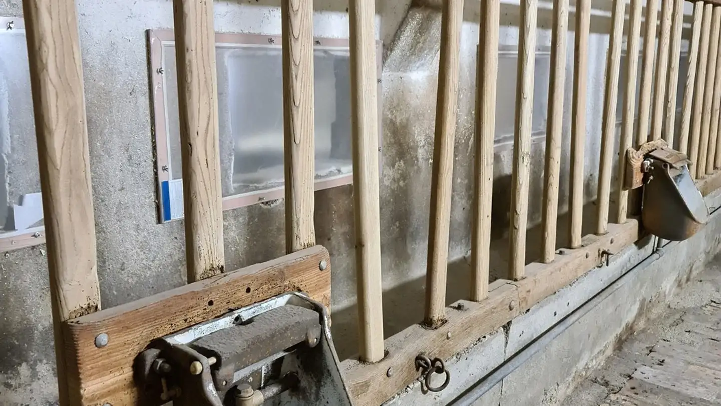 Commerciale in affitto - 8617 Mönchaltorf - Photo 4