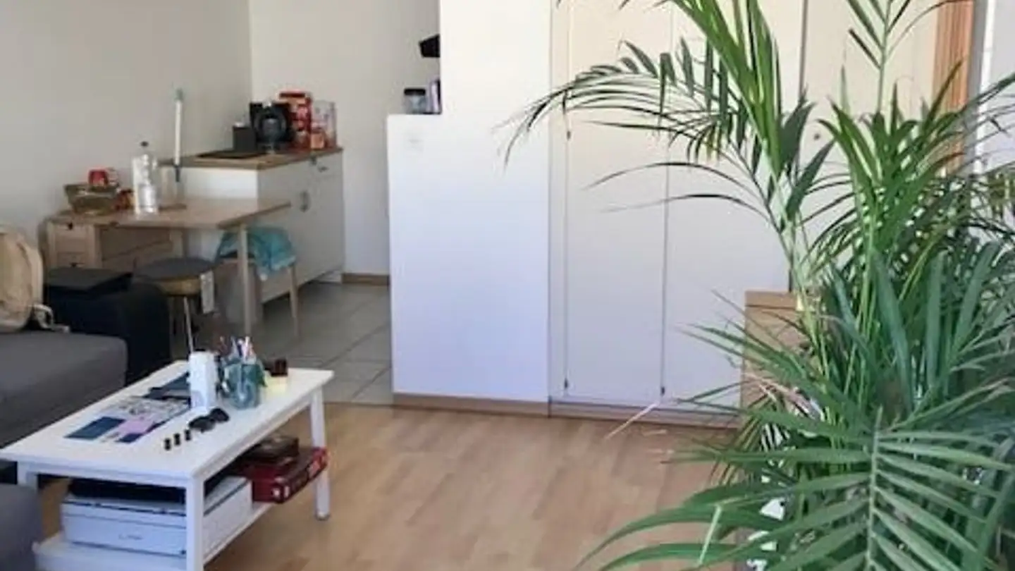 Wohnung mieten - St. Johanns-Ring 83, 4056 Basel - Foto 2