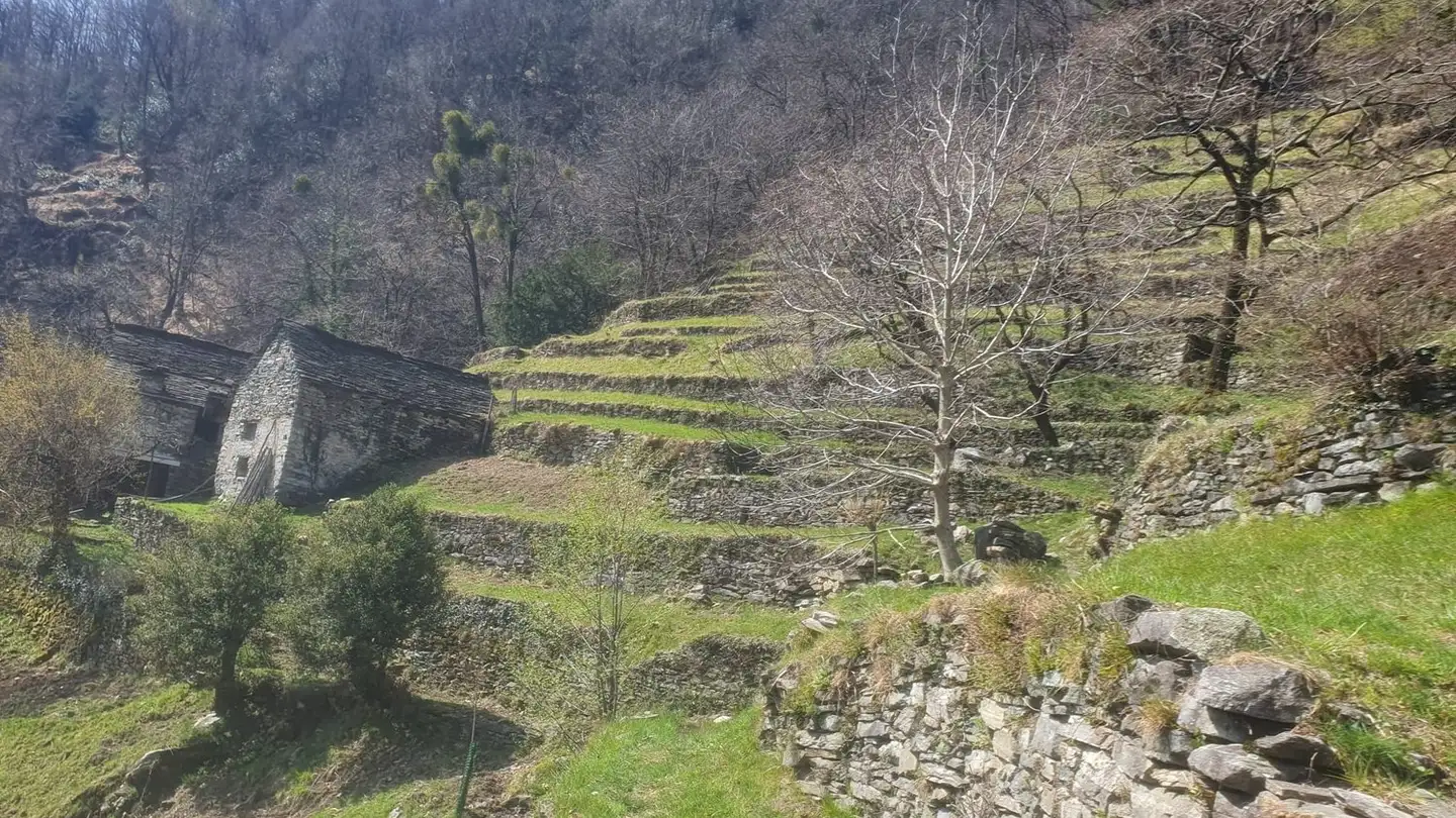 Einfamilienhaus kaufen - 6647 Mergoscia - Foto 2