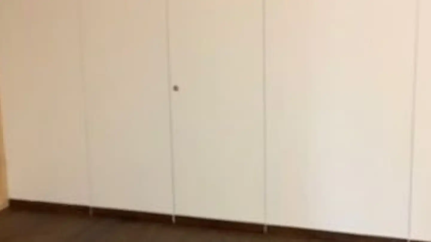 Commercial à louer - Oberdorfstrasse 113, 8600 Dübendorf - Photo 2