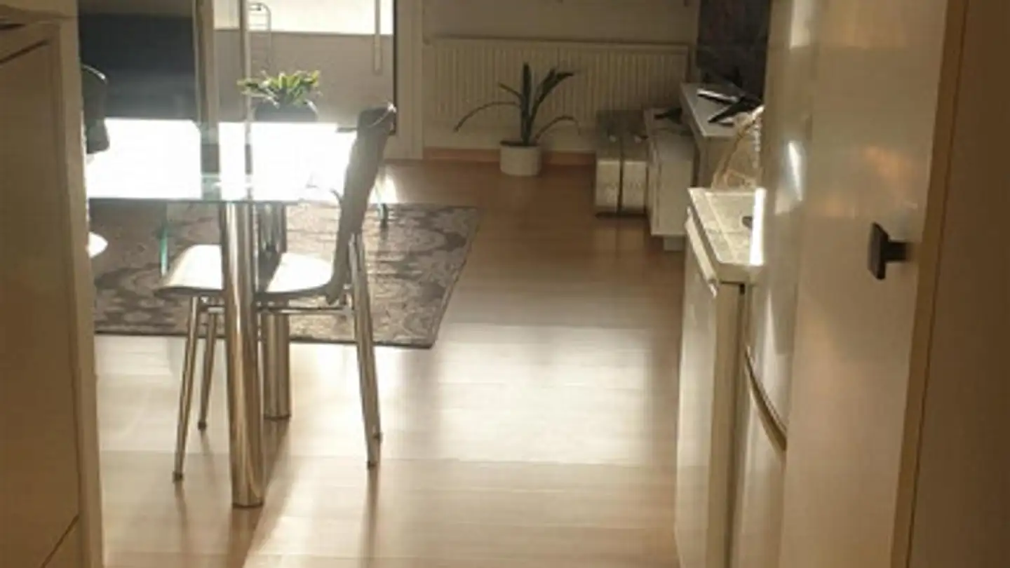 Appartamento in affitto - Sardonastrasse 3, 7000 Chur - Photo 3