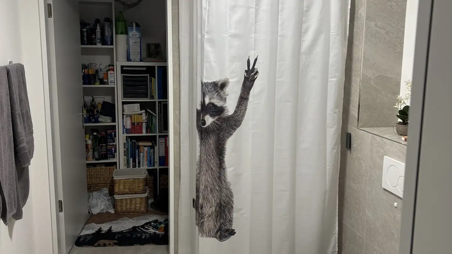 Appartamento in affitto - Zelgstrasse 2, 8340 Hinwil - Foto 3