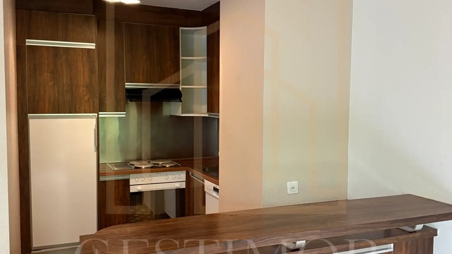Apartment for rent - Route De Florissant 112, 1206 Genève - Photo 4