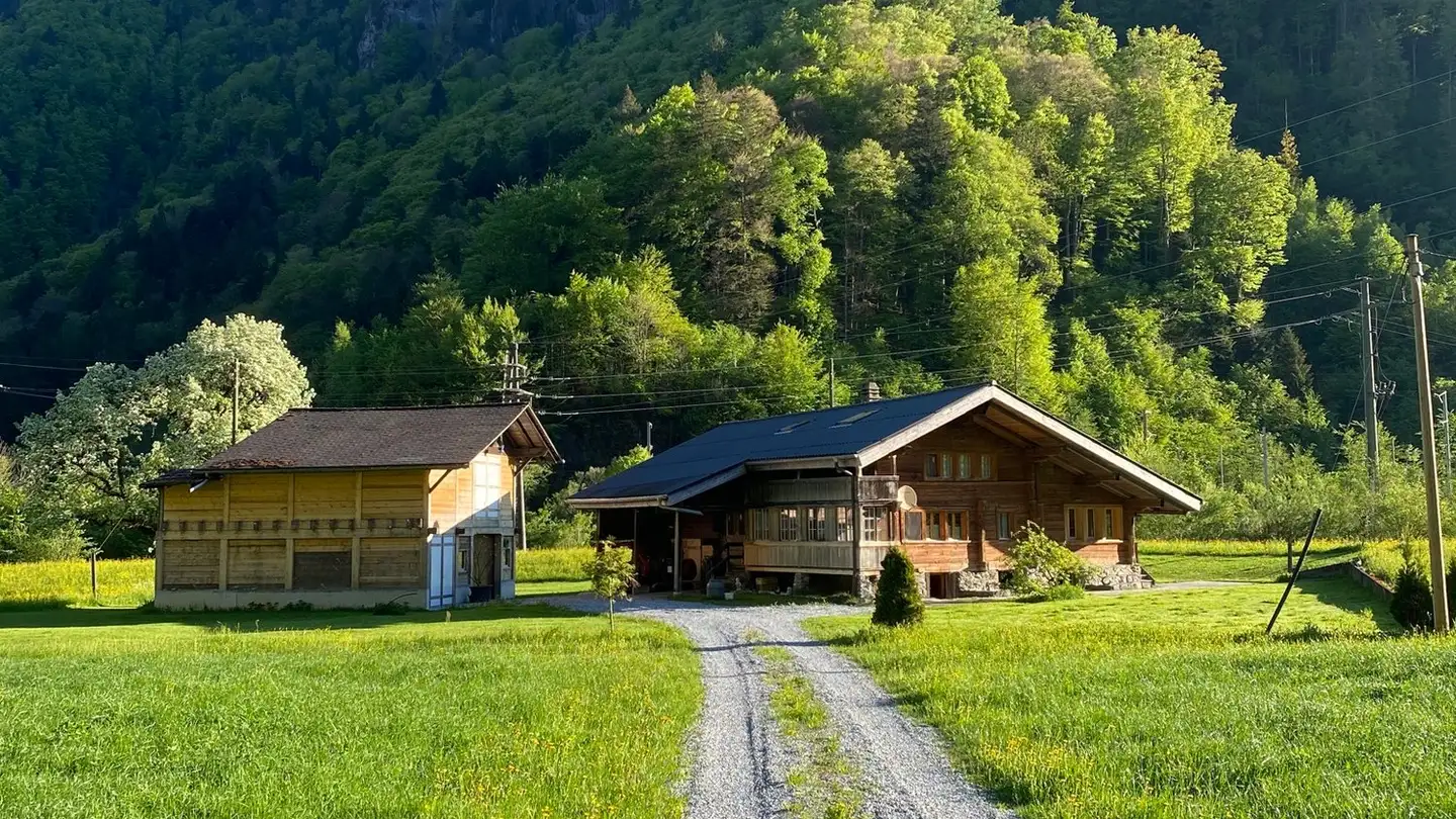Einfamilienhaus kaufen - 3812 Wilderswil