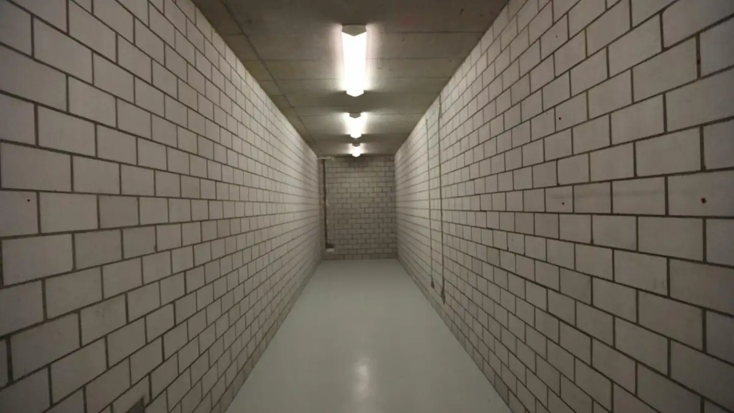 Spazio di archiviazione in affitto - Erlenstrasse 4, 8362 Balterswil - Photo 4