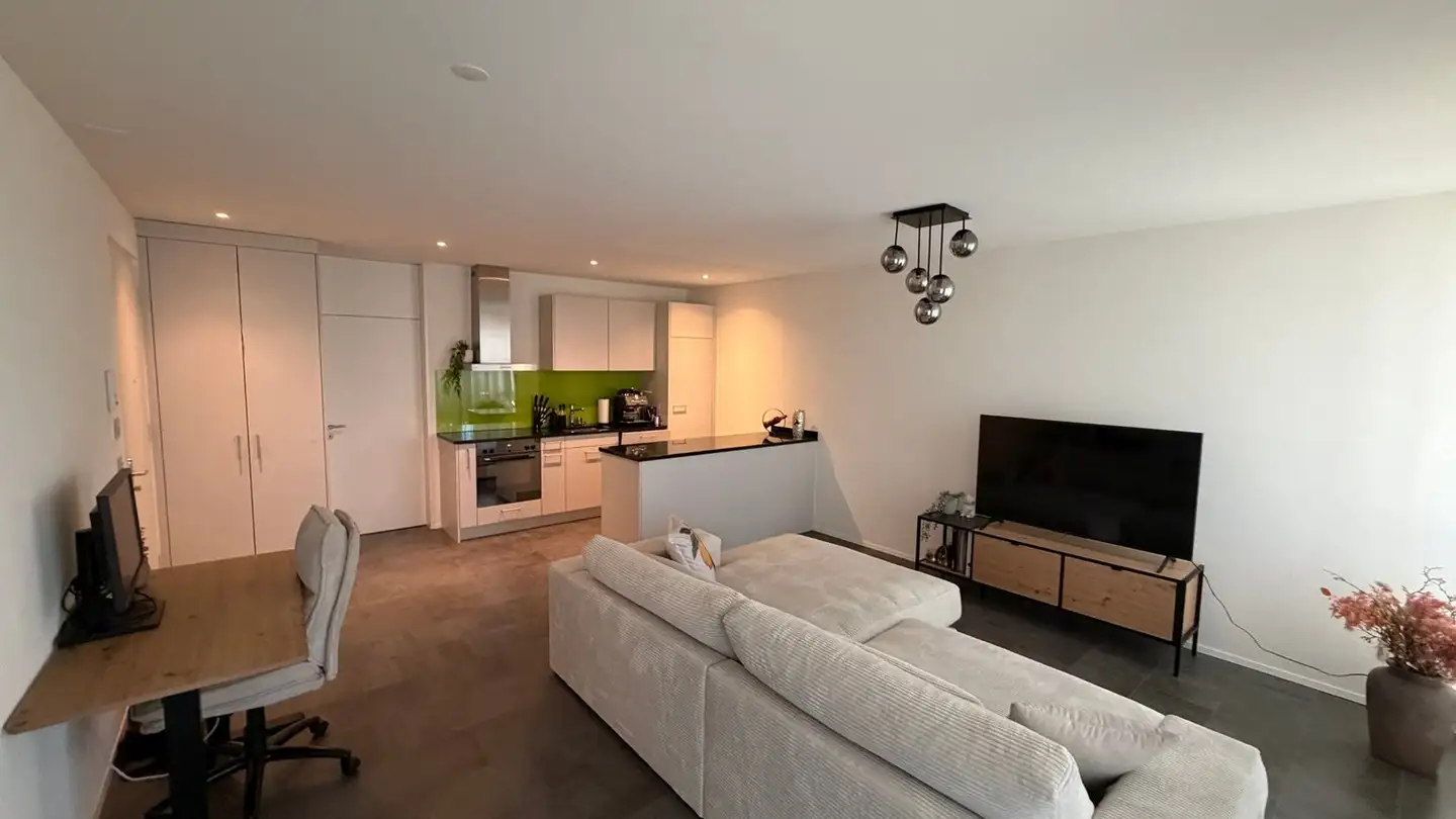 Appartamento in affitto - Steinerstrasse 36, 8475 Ossingen