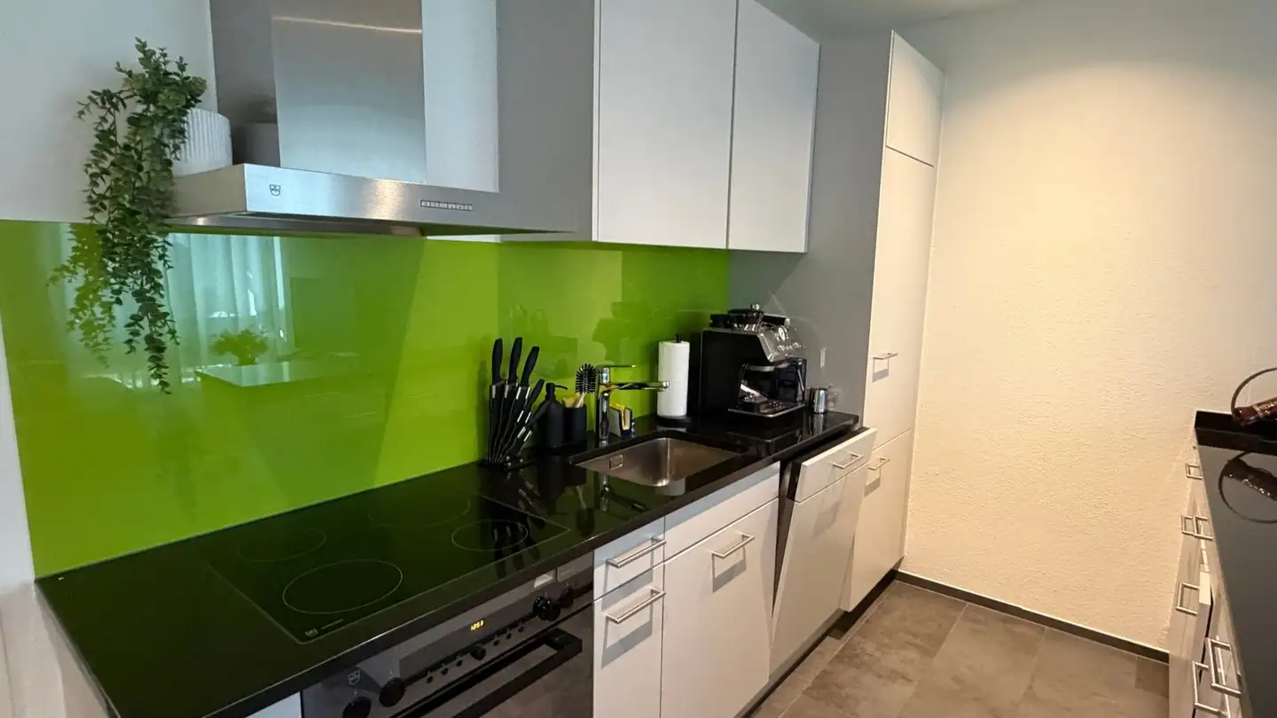 Appartamento in affitto - Steinerstrasse 36, 8475 Ossingen - Foto 2