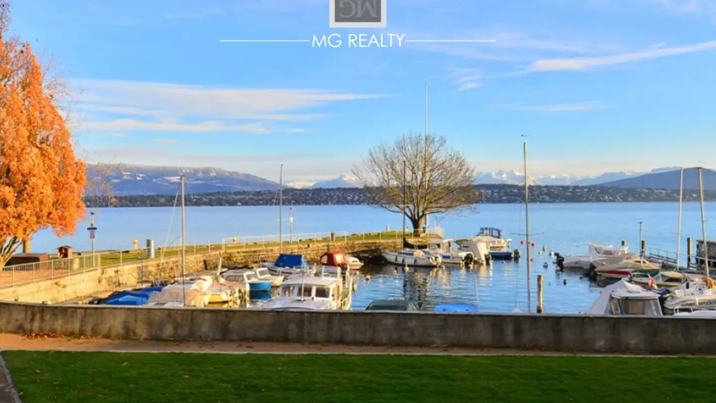 Casa singola in vendita - Route De Meyrin, 1217 Meyrin - Foto 2