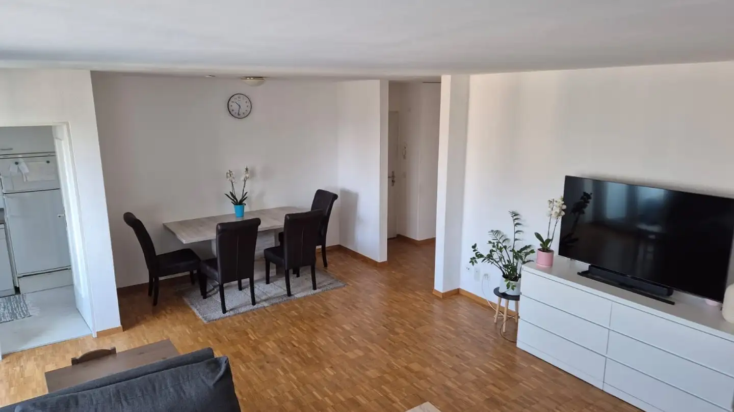 Appartamento in affitto - Sommerhaldenstrasse, 5200 Brugg AG - Foto 4