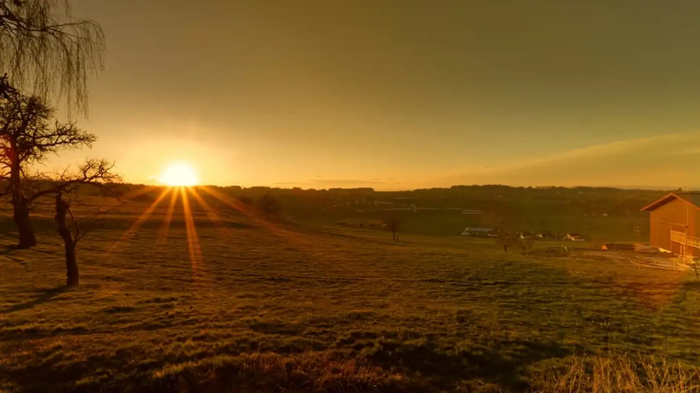 Apartment for sale - 1676 Chavannes-les-Forts - Photo 2