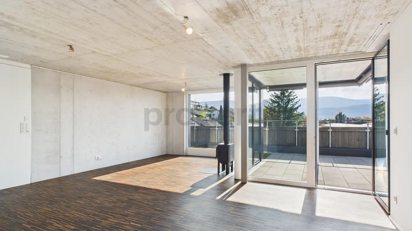 Attico in affitto - 4106 Therwil