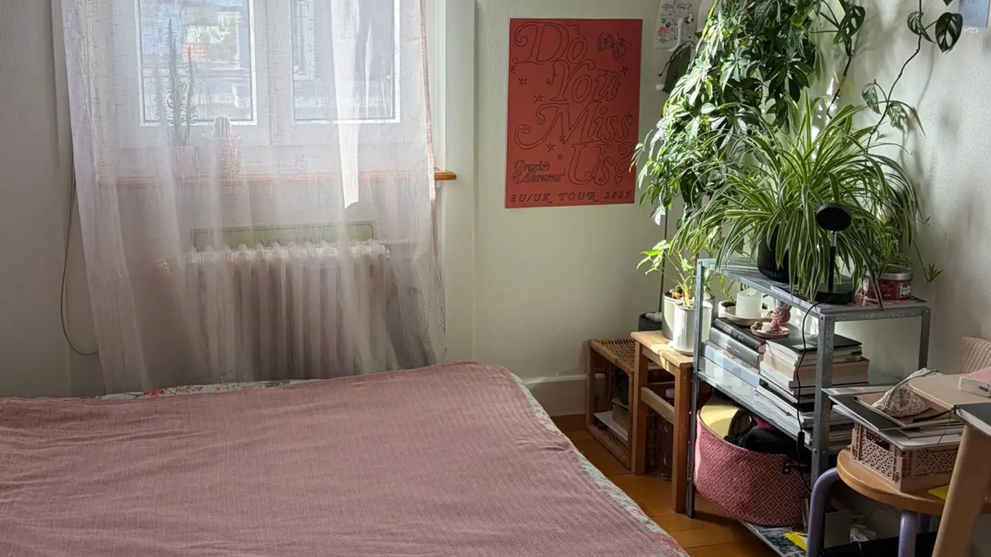 Stanza singola in affitto - 8004 Zürich