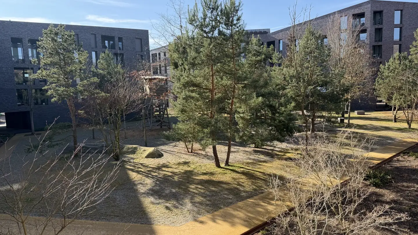 Appartement à louer - Buckweg 2d, 8157 Dielsdorf - Photo 4