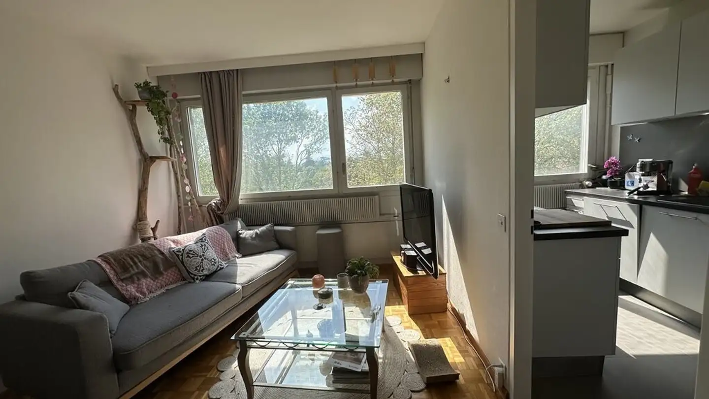 Appartamento in affitto - Route de l'Etraz 46, 1260 Nyon - Foto 3