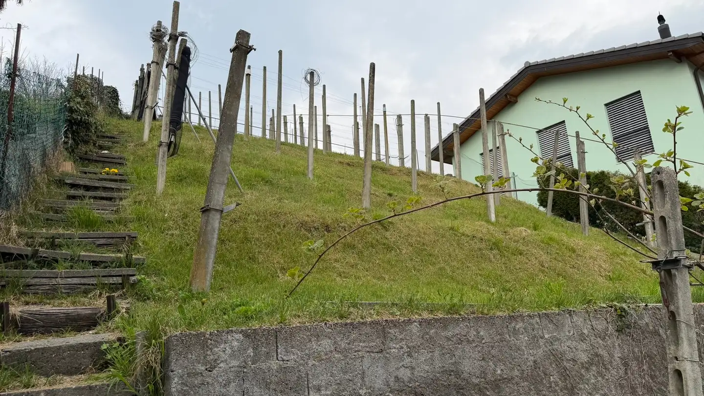 Casa bifamiliare in vendita - 6512 Giubiasco - Foto 3