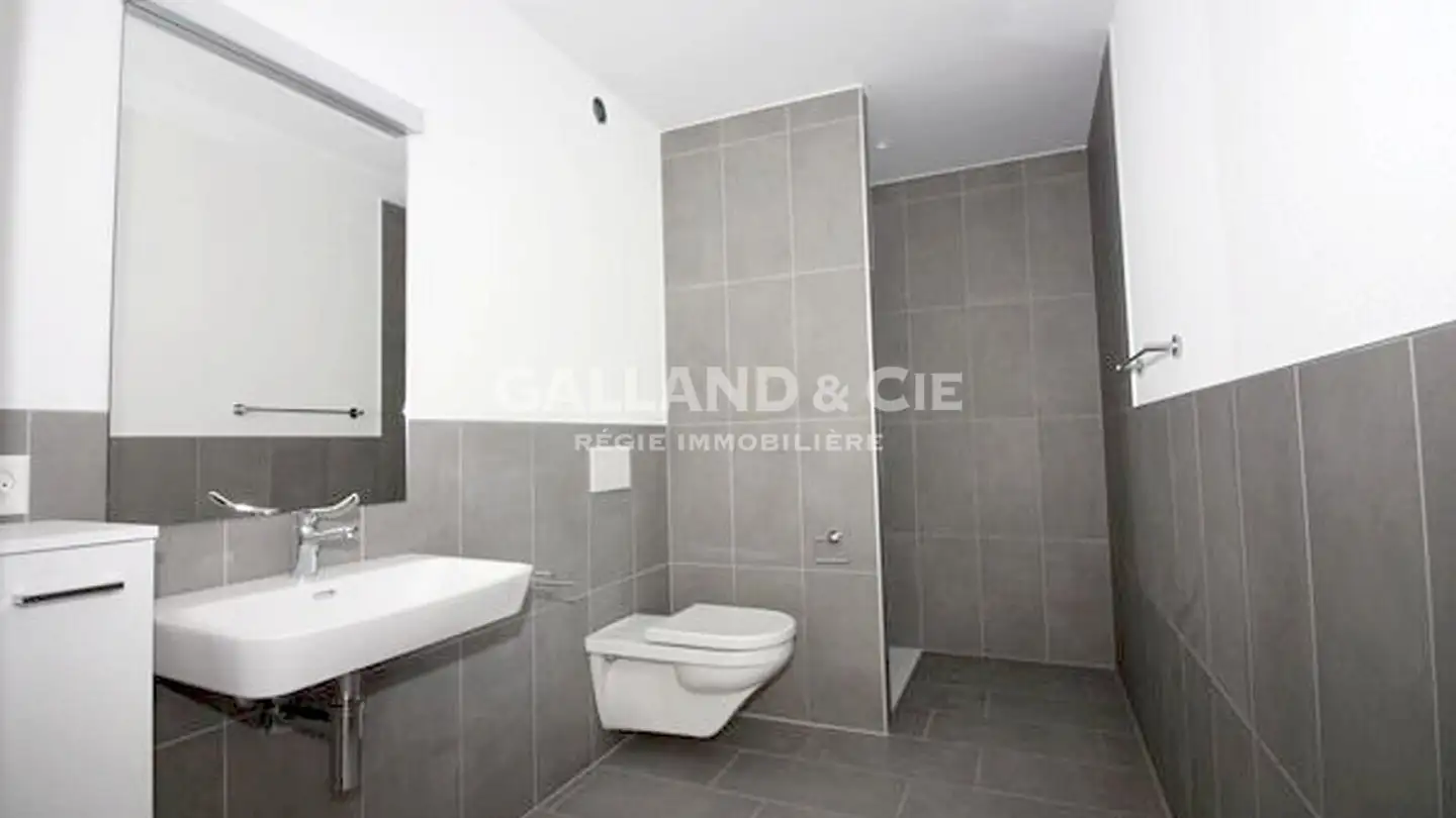 Apartment for rent - Rue De Gottefrey, 1907 Saxon - Photo 3