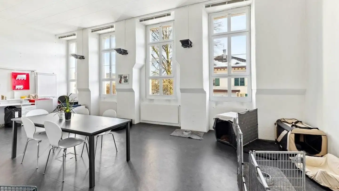 Commercial for rent - Alte Affolterstrasse 1, 8909 Zwillikon - Photo 2