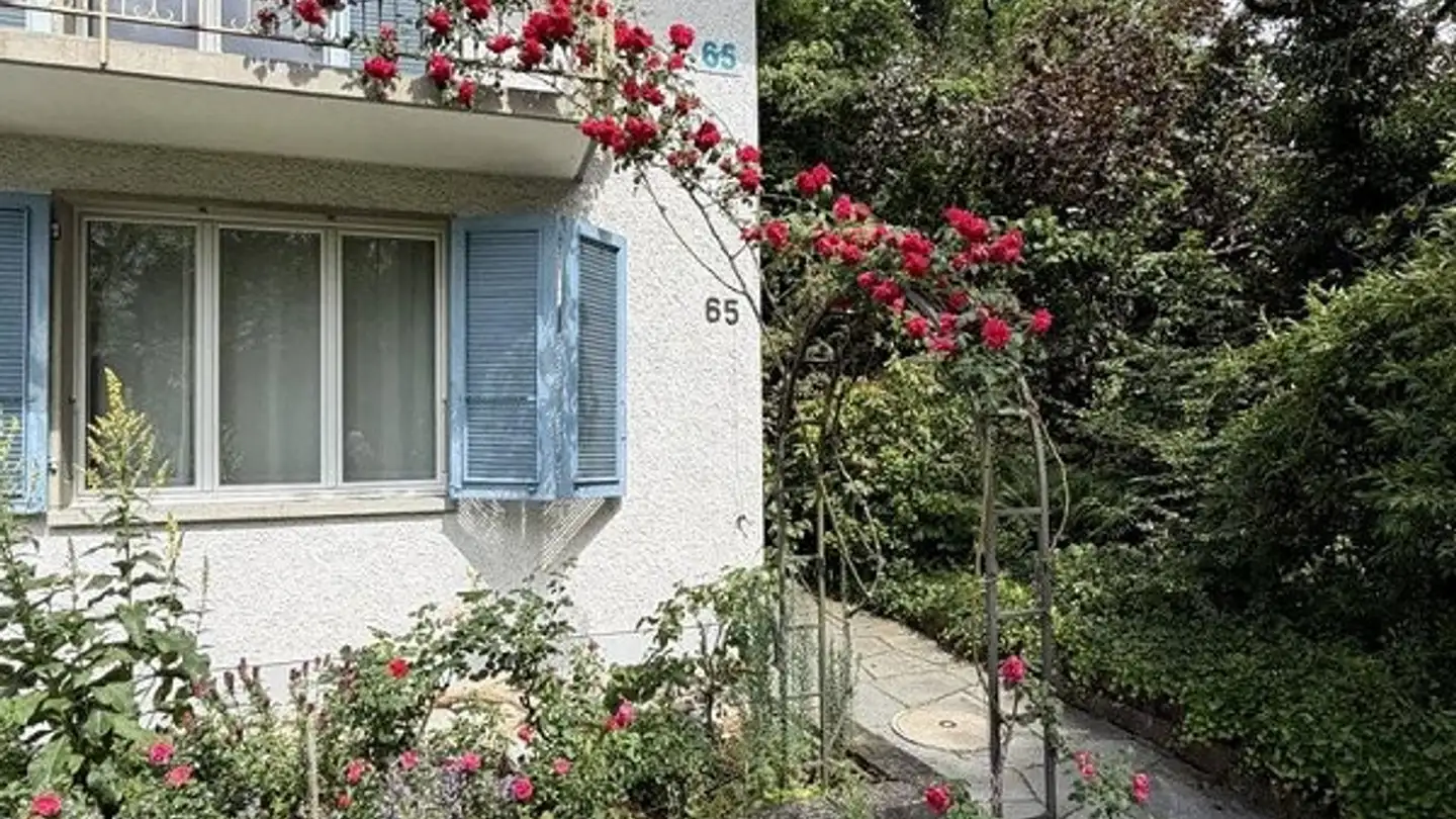 Appartement à louer - Egghölzlistrasse 65, 3006 Bern