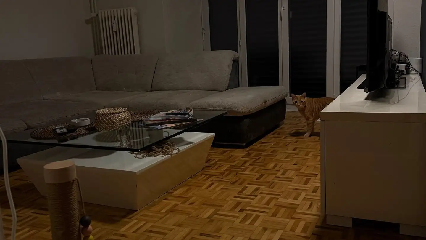 Stanza singola in affitto - Giebeleichstrasse 24, 8152 Glattbrugg - Photo 3