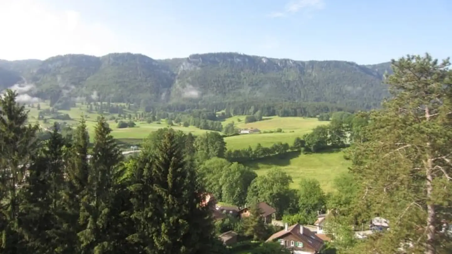 Residential building for sale - Chemin Des Bosquets 10, 2740 Moutier - Photo 4