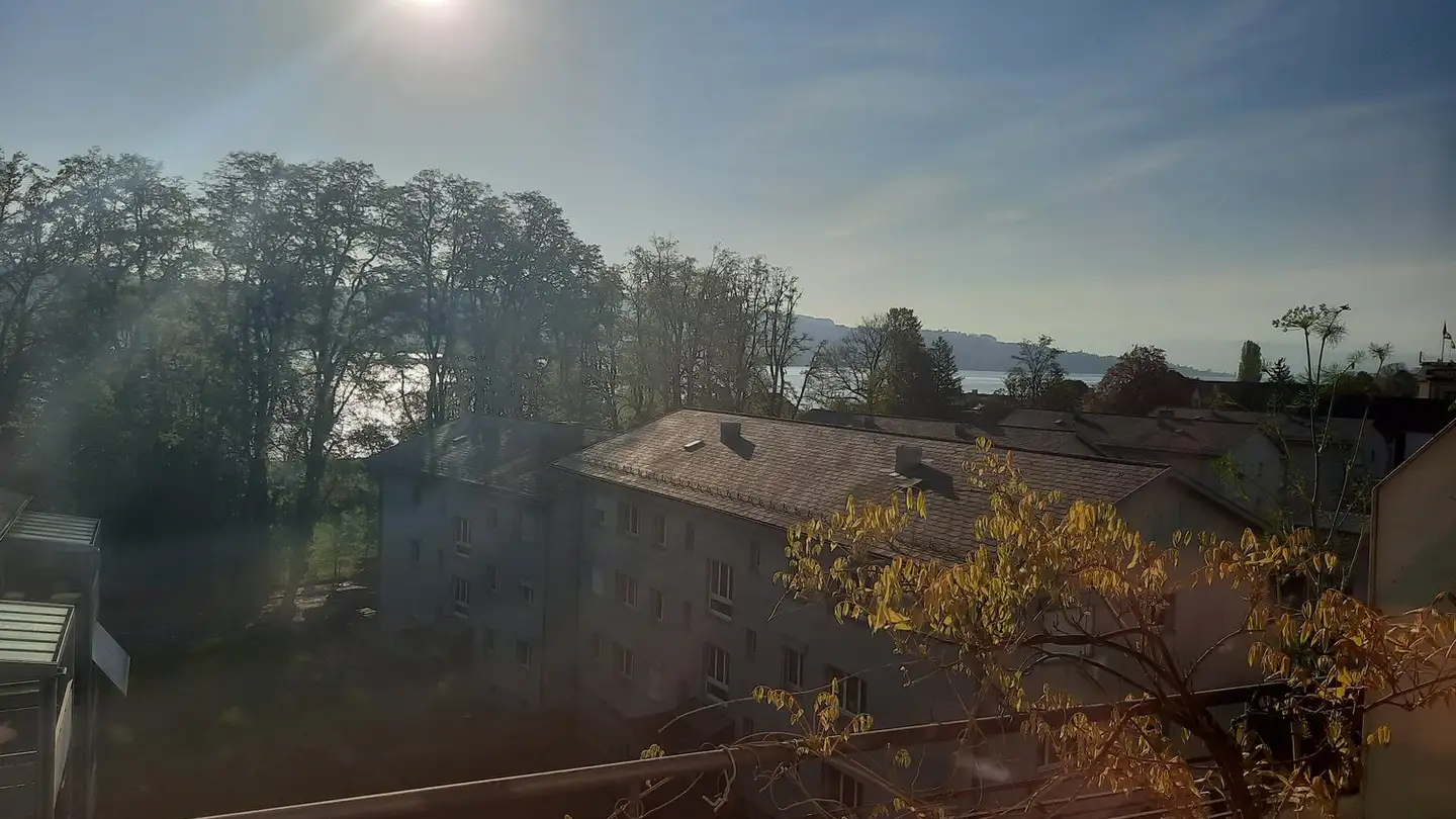 Single room for rent - 8802 Kilchberg ZH - Photo 3