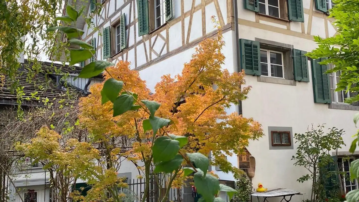 Duplex in affitto - Eiergässli 7, 8627 Grüningen