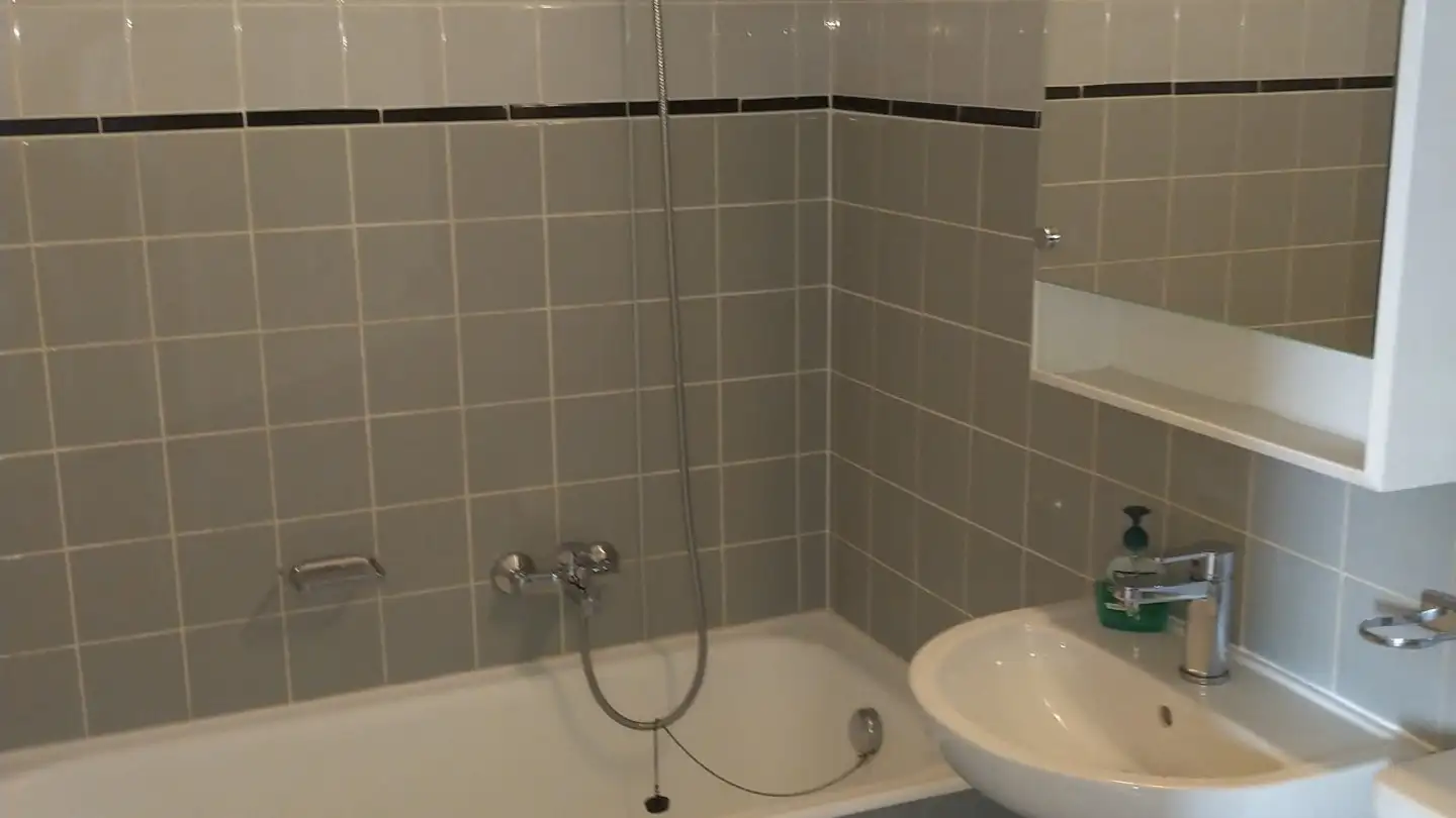 Appartamento in affitto - Chemin Du Bois Murat 3, 1066 Epalinges