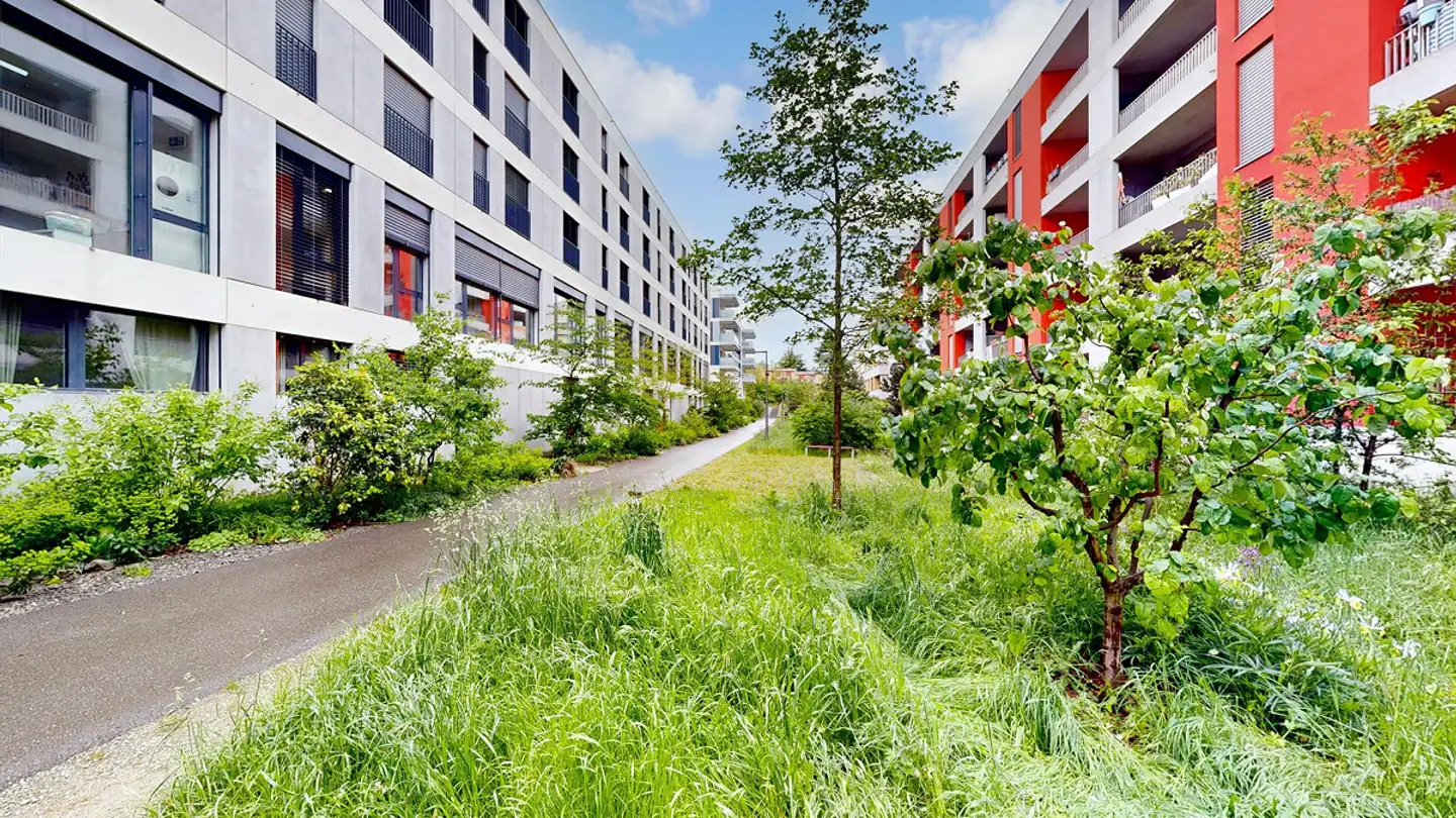 Appartement à louer - Esplanade Des Récréations 11, 1217 Meyrin - Photo 2