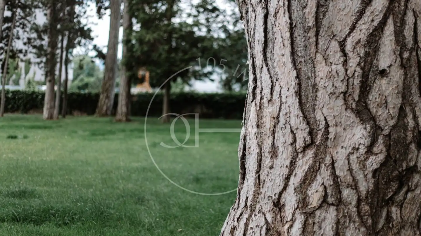 Maison individuelle à vendre - 1231 Conches