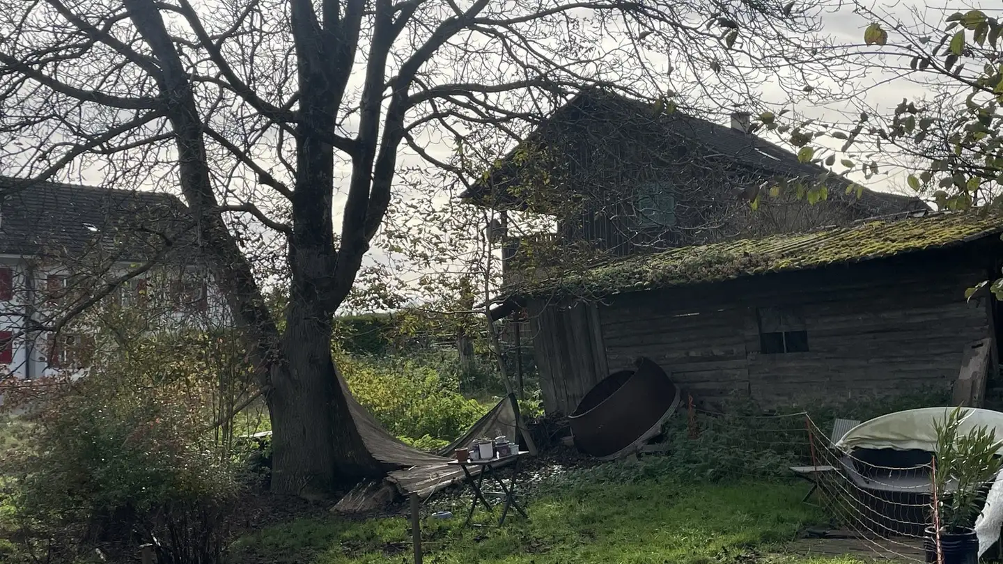 Stanza singola in affitto - 8505 Pfyn - Photo 2