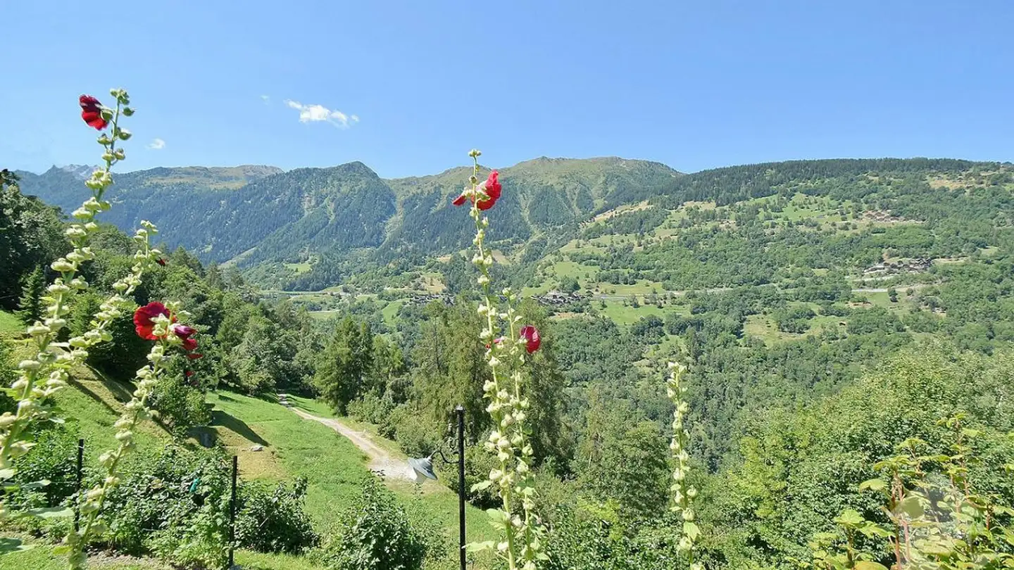 Einfamilienhaus kaufen - Route D'euseigne, 1982 Euseigne - Foto 3
