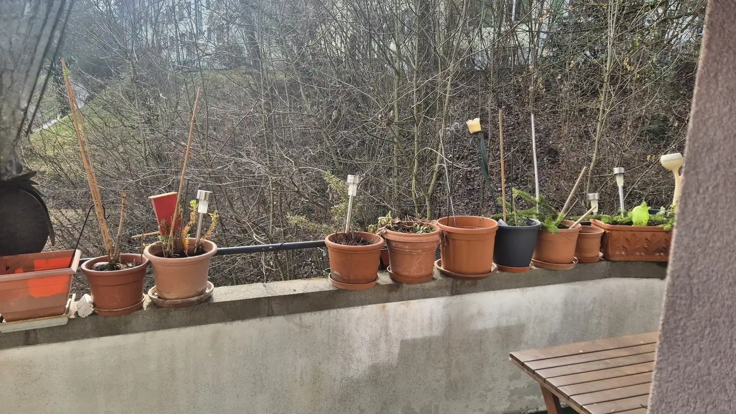 Appartamento in affitto - 3007 Bern - Foto 3