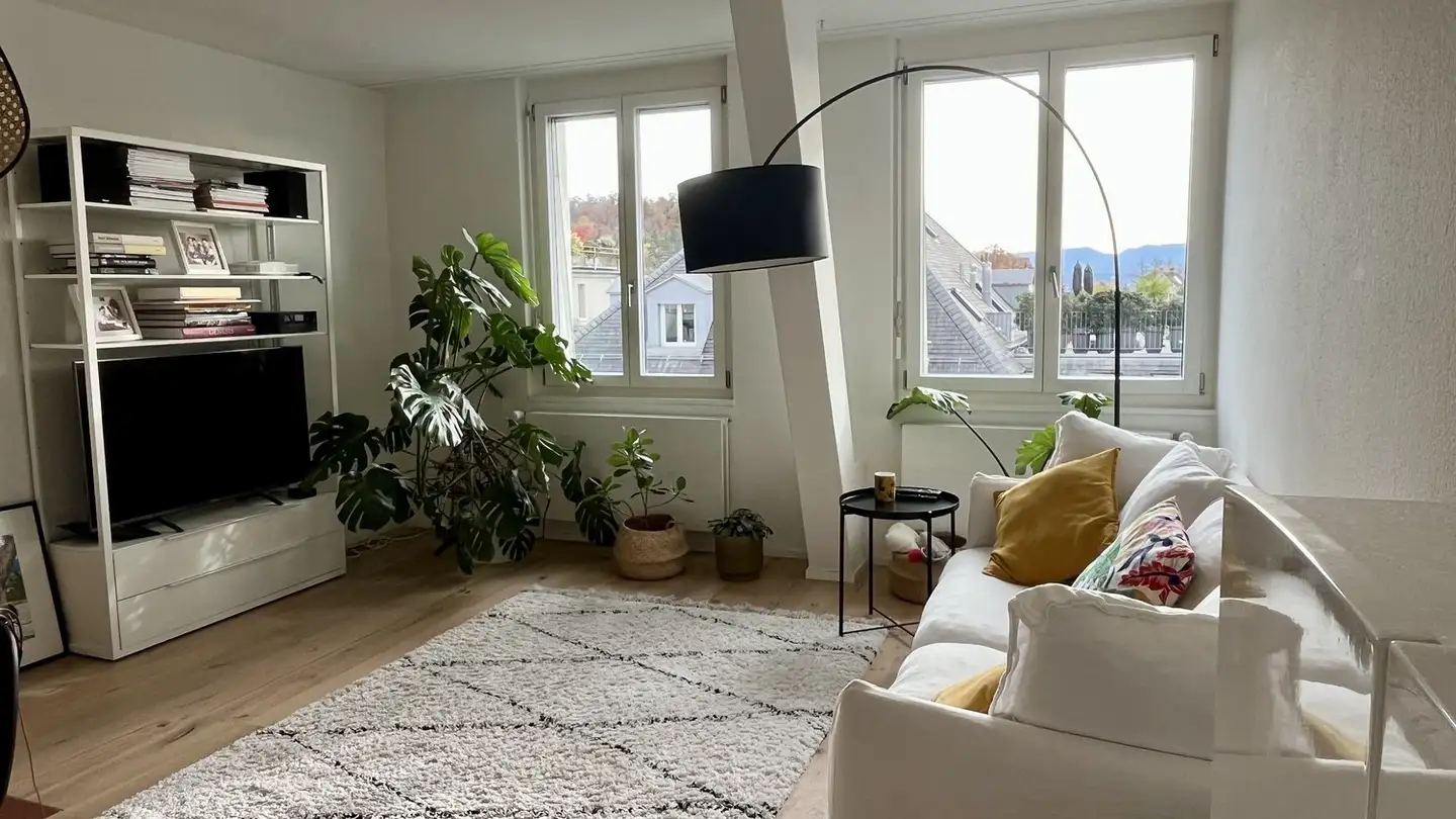 Appartamento in affitto - Forchstrasse, 8032 Zürich